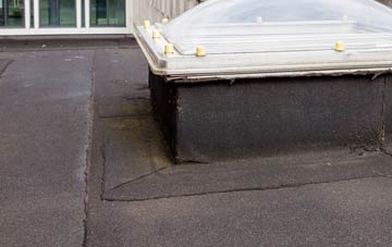 disadvantages of Magpie Green flat roofs