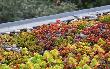 the cost of Magpie Green green roof installation