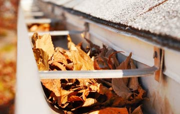 Magpie Green gutter cleaning companies