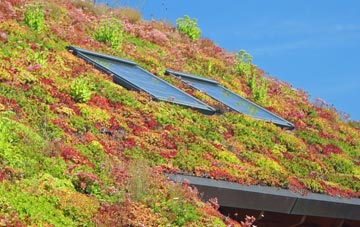 Magpie Green living roof systems
