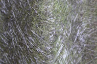 Magpie Green fibreglass roof work