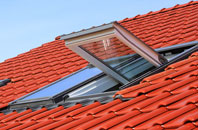Magpie Green roof window